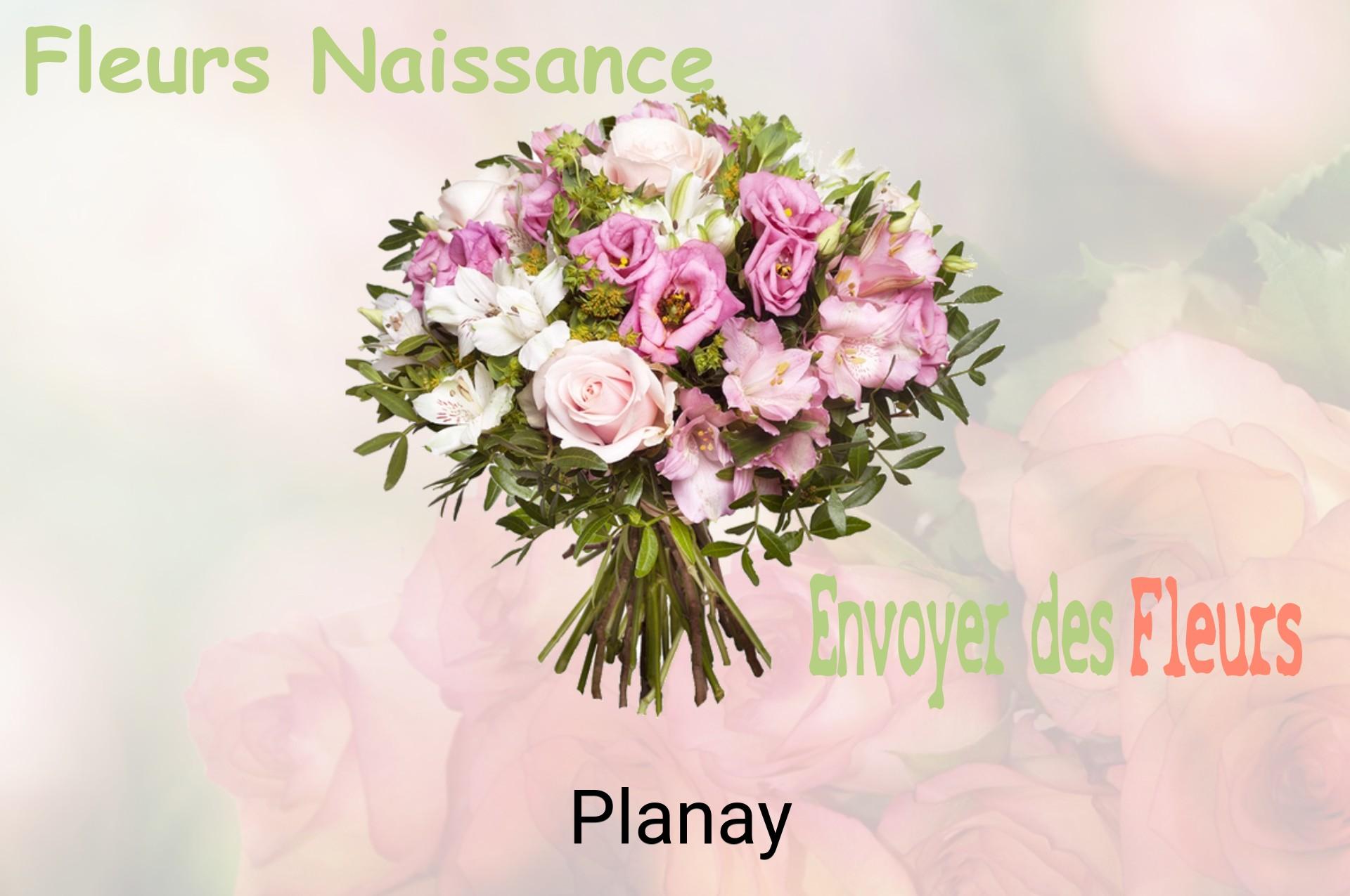 Bouquet de fleurs de naissance livré à Planay