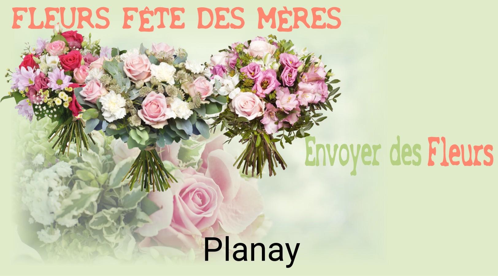Bouquet de Fête des Mères livré à Planay